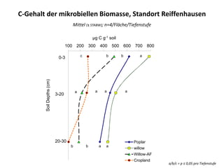 100 200 300 400 500 600 700 800
µg C g-1 soil
Poplar
willow
Willow-AF
Cropland
0-3
3-20
20-30
SoilDepths(cm)
b
a
aa
aaa
abbc
b
C-Gehalt der mikrobiellen Biomasse, Standort Reiffenhausen
Mittel (± STABW); n=4/Fläche/Tiefenstufe
a/b/c = p ≤ 0,05 pro Tiefenstufe
 