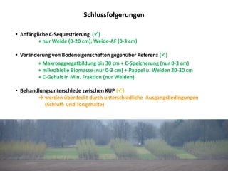 Schlussfolgerungen
• Anfängliche C-Sequestrierung ()
+ nur Weide (0-20 cm), Weide-AF (0-3 cm)
• Veränderung von Bodeneigenschaften gegenüber Referenz ()
+ Makroaggregatbildung bis 30 cm + C-Speicherung (nur 0-3 cm)
+ mikrobielle Biomasse (nur 0-3 cm) + Pappel u. Weiden 20-30 cm
+ C-Gehalt in Min. Fraktion (nur Weiden)
• Behandlungsunterschiede zwischen KUP ()
→ werden überdeckt durch unterschiedliche Ausgangsbedingungen
(Schluff- und Tongehalte)
 