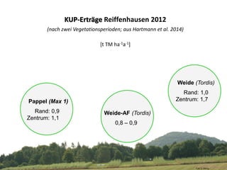 KUP-Erträge Reiffenhausen 2012
(nach zwei Vegetationsperioden; aus Hartmann et al. 2014)
[t TM ha-1a-1]
Foto: C. Döring
Pappel (Max 1)
Rand: 0,9
Zentrum: 1,1
Weide-AF (Tordis)
0,8 – 0,9
Weide (Tordis)
Rand: 1,0
Zentrum: 1,7
 