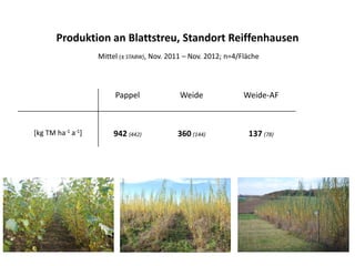 Pappel Weide Weide-AF
[kg TM ha-1 a-1] 942 (442) 360 (144) 137 (78)
Produktion an Blattstreu, Standort Reiffenhausen
Mittel (± STABW), Nov. 2011 – Nov. 2012; n=4/Fläche
 