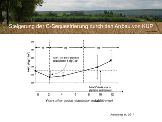 Steigerung der C-Sequestrierung durch den Anbau von KUP
Foto: N. Lamersdorf
0 2 4 6 8 10 12
Years after poplar plantation establishment
Arevalo et al., 2011
 