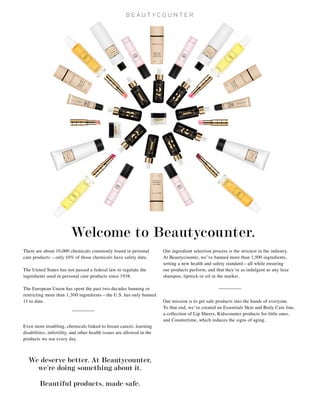 Intro to Beautycounter One Page Flyer | PDF
