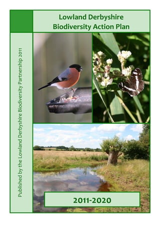 Lowland Derbyshire  
Biodiversity Action Plan 
2011‐2020 
 
Published by the Lowland Derbyshire Biodiversity Partnership 2011 
 