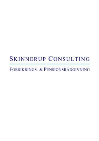 The Skinnerup Consulting
