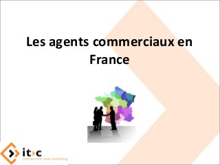 Les agents commerciaux en
France
 