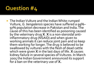    The Indian Vulture and the Indian White-rumped
    Vulture, G. bengalensis species have suffered a 99%–
    97% population decrease in Pakistan and India. The
    cause of this has been identified as poisoning caused
    by the veterinary drug X. X is a non-steroidal anti-
    inflammatory drug (NSAID) and when given to
    working animals it can reduce joint pain and so keep
    them working for longer. The drug is believed to be
    swallowed by vultures with the flesh of dead cattle
    which were given X in the last days of life. X causes
    kidney failure in several species of Vultures. In March
    2005 the Indian Government announced its support
    for a ban on the veterinary use of X.
 