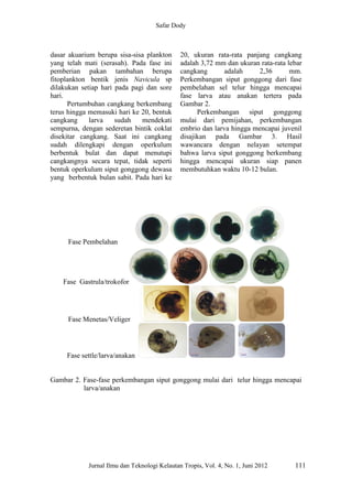 64 reproduksi perkembangan larva