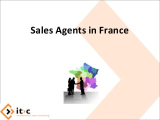 Sales Agents in France
 