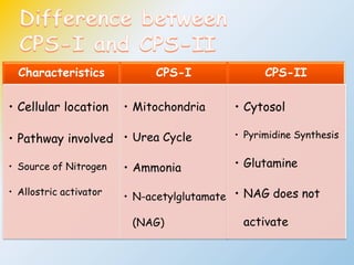 Characteristics CPS-I CPS-II
• Cellular location
• Pathway involved
• Source of Nitrogen
• Allostric activator
• Mitochondria
• Urea Cycle
• Ammonia
• N-acetylglutamate
(NAG)
• Cytosol
• Pyrimidine Synthesis
• Glutamine
• NAG does not
activate
 