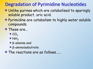 Unlike purines which are catabolised to sparingly
soluble product, uric acid.
Pyrimidine are catabolism to highly water soluble
compounds.
These are…
CO2
NH3
β-alanine and
β-aminoisobutrate
The reactions are as follows……
Degradation of Pyrimidine Nucleotides
 