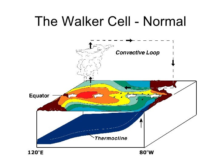 6.5 - El Nino Slide 3
