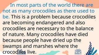 In most parts of the world there are
not as many crocodiles as there used to
be. This is a problem because crocodiles
are becoming endangered and also
crocodiles are necessary to the balance
of nature. Many crocodiles have died
because people have dried up the
swamps and marshes where the
crocodiles live.
 