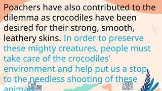 Poachers have also contributed to the
dilemma as crocodiles have been
desired for their strong, smooth,
leathery skins. In order to preserve
these mighty creatures, people must
take care of the crocodiles’
environment and help put us a stop
to the needless shooting of these
 