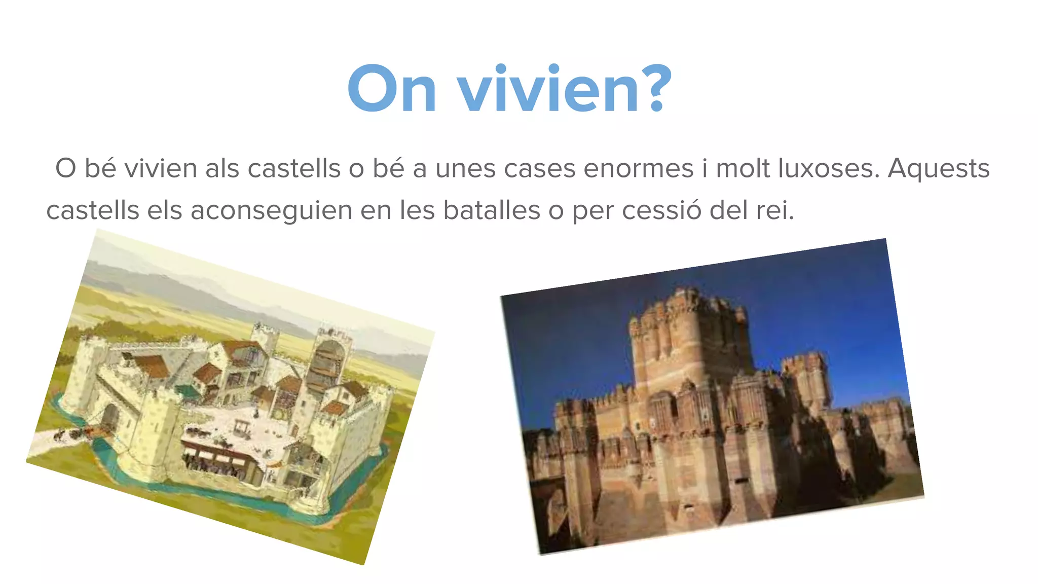 On vivien?
O bé vivien als castells o bé a unes cases enormes i molt luxoses. Aquests
castells els aconseguien en les batalles o per cessió del rei.
 