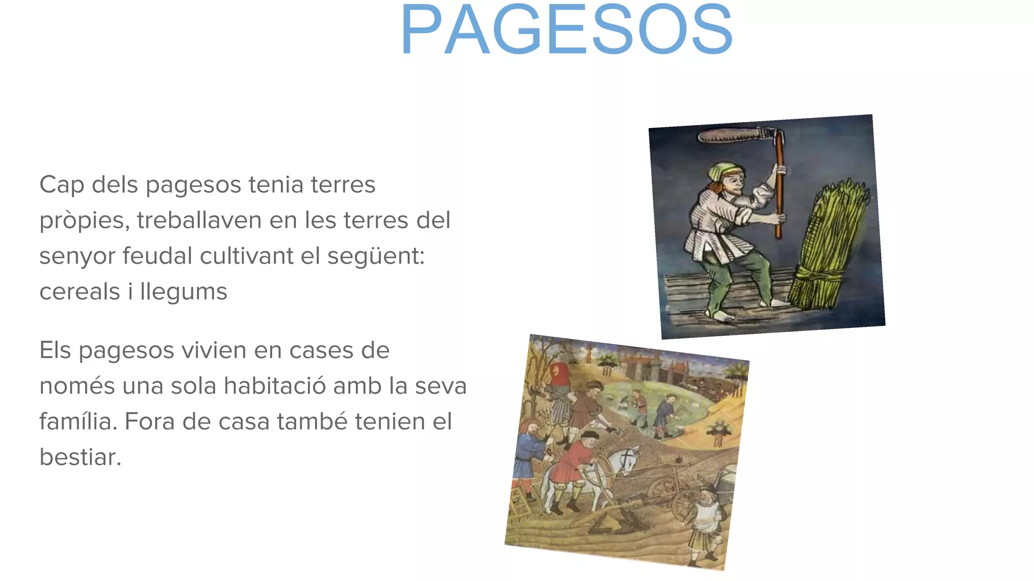 PAGESOS
Cap dels pagesos tenia terres
pròpies, treballaven en les terres del
senyor feudal cultivant el següent:
cereals i llegums
Els pagesos vivien en cases de
només una sola habitació amb la seva
família. Fora de casa també tenien el
bestiar.
 