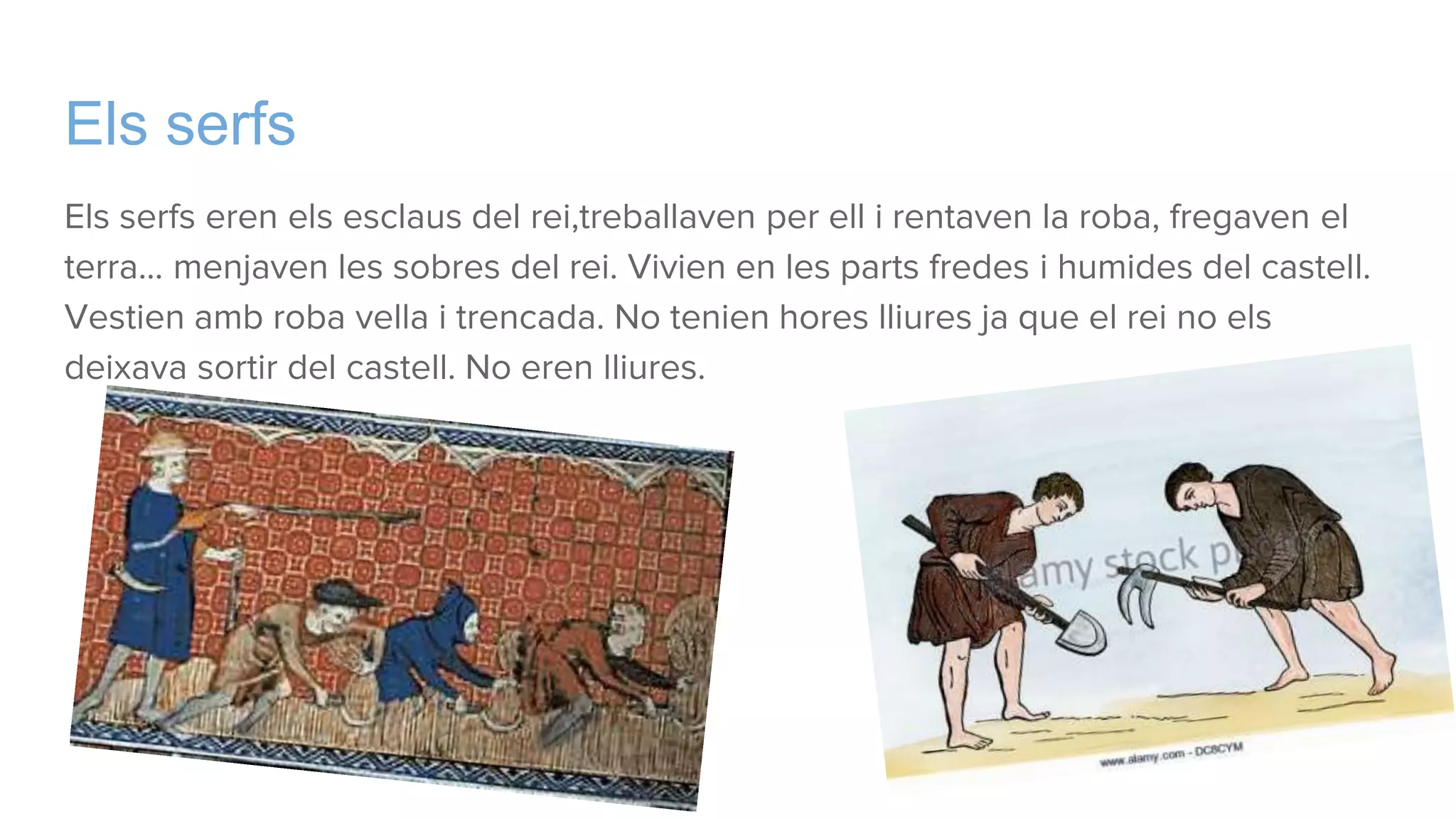 Els serfs
Els serfs eren els esclaus del rei,treballaven per ell i rentaven la roba, fregaven el
terra... menjaven les sobres del rei. Vivien en les parts fredes i humides del castell.
Vestien amb roba vella i trencada. No tenien hores lliures ja que el rei no els
deixava sortir del castell. No eren lliures.
 