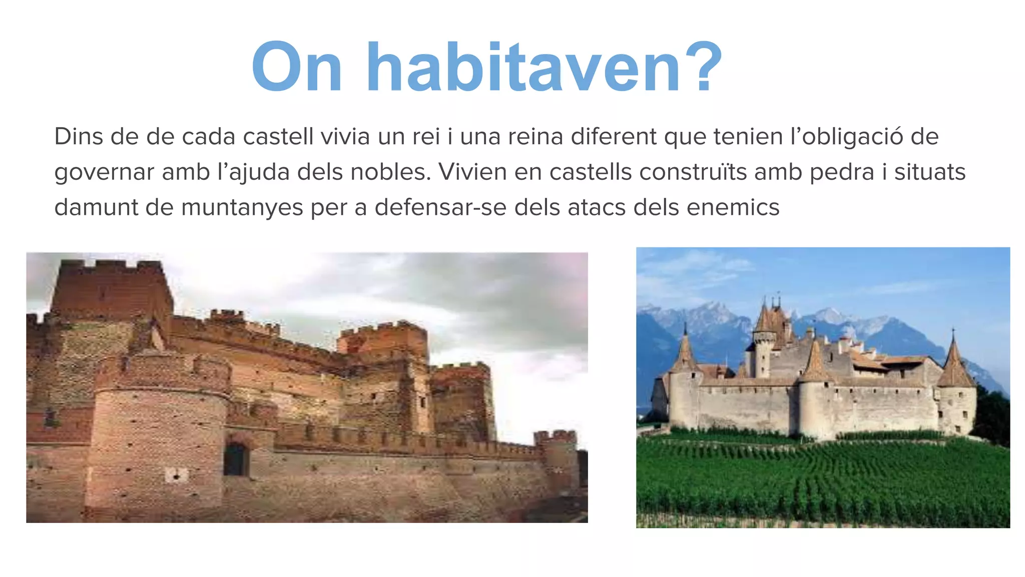 Dins de de cada castell vivia un rei i una reina diferent que tenien l’obligació de
governar amb l’ajuda dels nobles. Vivien en castells construïts amb pedra i situats
damunt de muntanyes per a defensar-se dels atacs dels enemics
On habitaven?
 