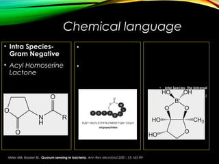 Chemical language
• Intra Species-
Gram Negative
• Acyl Homoserine
Lactone
• Inter Species- The Universal
• Auto Inducer peptide- 2
• Intra Species-
Gram Positive
• Auto Inducer
Peptide -1
Miller MB, Bassler BL. Quorum sensing in bacteria. Ann Rev Microbiol 2001; 55:165-99
 