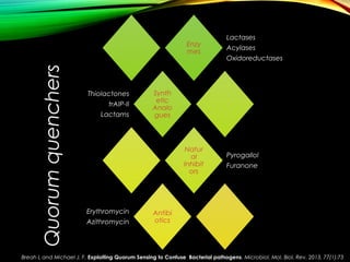 Enzy
mes
Lactases
Acylases
Oxidoreductases
Synth
etic
Analo
gues
Thiolactones
trAIP-II
Lactams
Natur
al
Inhibit
ors
Pyrogallol
Furanone
Antibi
otics
Erythromycin
Azithromycin
Quorumquenchers
Breah L and Michael J. F. Exploiting Quorum Sensing to Confuse Bacterial pathogens. Microbiol. Mol. Biol. Rev. 2013, 77(1):73
 
