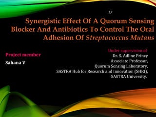Synergistic Effect Of A Quorum Sensing
Blocker And Antibiotics To Control The Oral
Adhesion Of Streptococcus Mutans
Project member
Sahana V
Under supervision of
Dr. S. Adline Princy
Associate Professor,
Quorum Sensing Laboratory,
SASTRA Hub for Research and Innovation (SHRI),
SASTRA University.
17
 