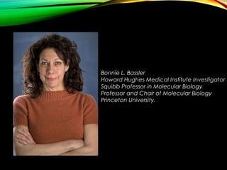 Bonnie L. Bassler
Howard Hughes Medical Institute Investigator
Squibb Professor in Molecular Biology
Professor and Chair of Molecular Biology
Princeton University.
 