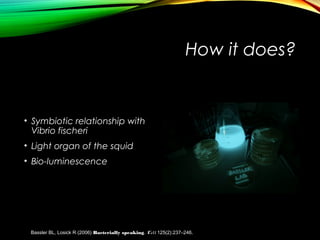 How it does?
• Symbiotic relationship with
Vibrio fischeri
• Light organ of the squid
• Bio-luminescence
Bassler BL, Losick R (2006) Bacterially speaking. Cell 125(2):237–246.
 