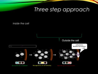 Three step approach
Inside the cell
Outside the cell
 