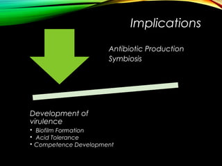Development of
virulence
• Biofilm Formation
• Acid Tolerance
• Competence Development
Antibiotic Production
Symbiosis
Implications
 