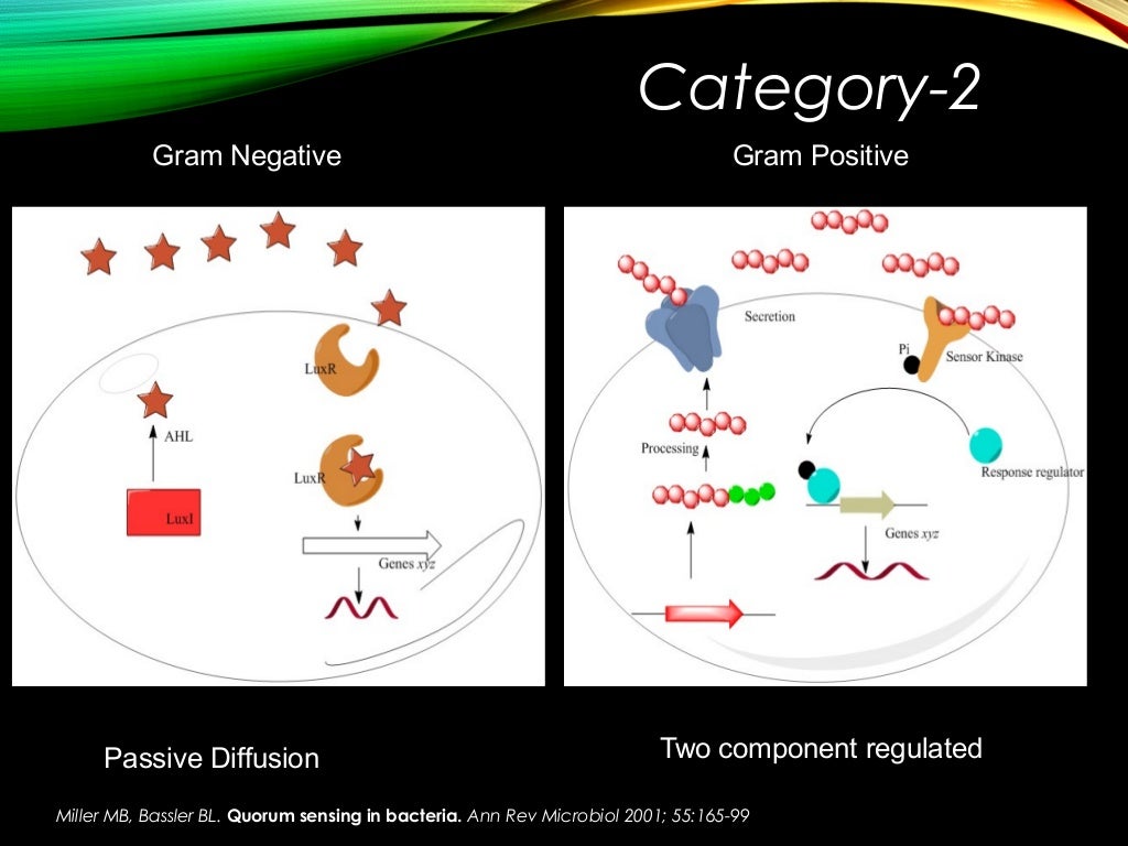 Quorum Sensing- An IntroductionQuorum Sensing- An Introduction