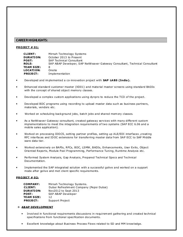 technical consultant job description