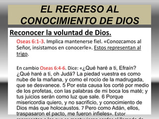 EL REGRESO AL
CONOCIMIENTO DE DIOS
Reconocer la voluntad de Dios.
Oseas 6:1-3. Implica mantenerse fiel. «Conozcamos al
Señor, insistamos en conocerle». Estos representan al
trigo.
En cambio Oseas 6:4-6. Dice: «¿Qué haré a ti, Efraín?
¿Qué haré a ti, oh Judá? La piedad vuestra es como
nube de la mañana, y como el rocío de la madrugada,
que se desvanece. 5 Por esta causa los corté por medio
de los profetas, con las palabras de mi boca los maté; y
tus juicios serán como luz que sale. 6 Porque
misericordia quiero, y no sacrificio, y conocimiento de
Dios más que holocaustos. 7 Pero como Adán, ellos,
traspasaron el pacto, me fueron infieles». Estor
 