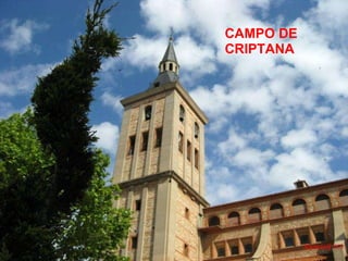 CAMPO DE CRIPTANA