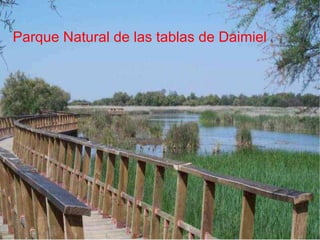 Parque Natural de las tablas de Daimiel