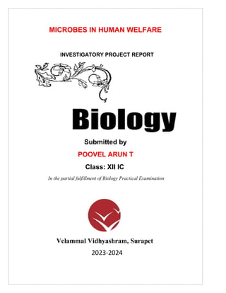 1
MICROBES IN HUMAN WELFARE
INVESTIGATORY PROJECT REPORT
Submitted by
POOVEL ARUN T
Class: XII IC
In the partial fulfillment of Biology Practical Examination
Velammal Vidhyashram, Surapet
2023-2024
 
