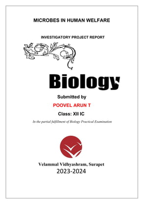 1
MICROBES IN HUMAN WELFARE
INVESTIGATORY PROJECT REPORT
Submitted by
POOVEL ARUN T
Class: XII IC
In the partial fulfillment of Biology Practical Examination
Velammal Vidhyashram, Surapet
2023-2024
 