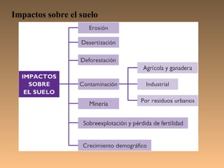Impactos sobre el suelo
 