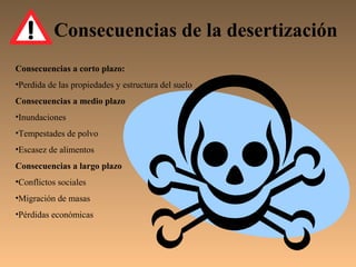 Consecuencias de la desertización
Consecuencias a corto plazo:
•Perdida de las propiedades y estructura del suelo
Consecuencias a medio plazo
•Inundaciones
•Tempestades de polvo
•Escasez de alimentos
Consecuencias a largo plazo
•Conflictos sociales
•Migración de masas
•Pérdidas económicas
 