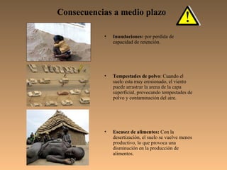 Consecuencias a medio plazo

           •   Inundaciones: por perdida de
               capacidad de retención.




           •   Tempestades de polvo: Cuando el
               suelo esta muy erosionado, el viento
               puede arrastrar la arena de la capa
               superficial, provocando tempestades de
               polvo y contaminación del aire.




           •   Escasez de alimentos: Con la
               desertización, el suelo se vuelve menos
               productivo, lo que provoca una
               disminución en la producción de
               alimentos.
 