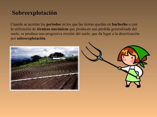 Sobreexplotación
Cuando se acortan los periodos en los que las tierras quedan en barbecho o con
la utilización de técnicas mecánicas que producen una pérdida generalizada del
suelo, se produce una progresiva erosión del suelo, que da lugar a la desertización
por sobreexplotación.
 