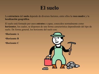El suelo
La estructura del suelo depende de diversos factores, entre ellos la roca madre y la
localización geográfica.
El suelo está formado por unos estratos o capas, conocidos normalmente como
horizontes, los cuales, se disponen de una forma característica dependiendo del tipo de
suelo. De forma general, los horizonte del suelo son:
•Horizonte A
•Horizonte B
•Horizonte C
 