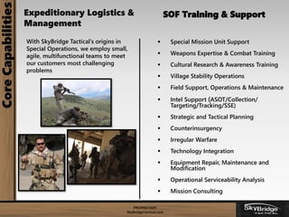 SkyBridge Tactical Capabilities | PDF