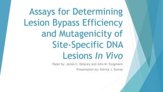 Assays for Determining
Lesion Bypass Efficiency
and Mutagenicity of
Site-Specific DNA
Lesions In Vivo
Paper by: James C. Delaney and John M. Essigmann
Presentation by: Patrick J. Dumas
 