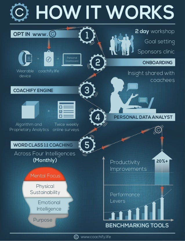 how it works infographic pdf how it works infographic