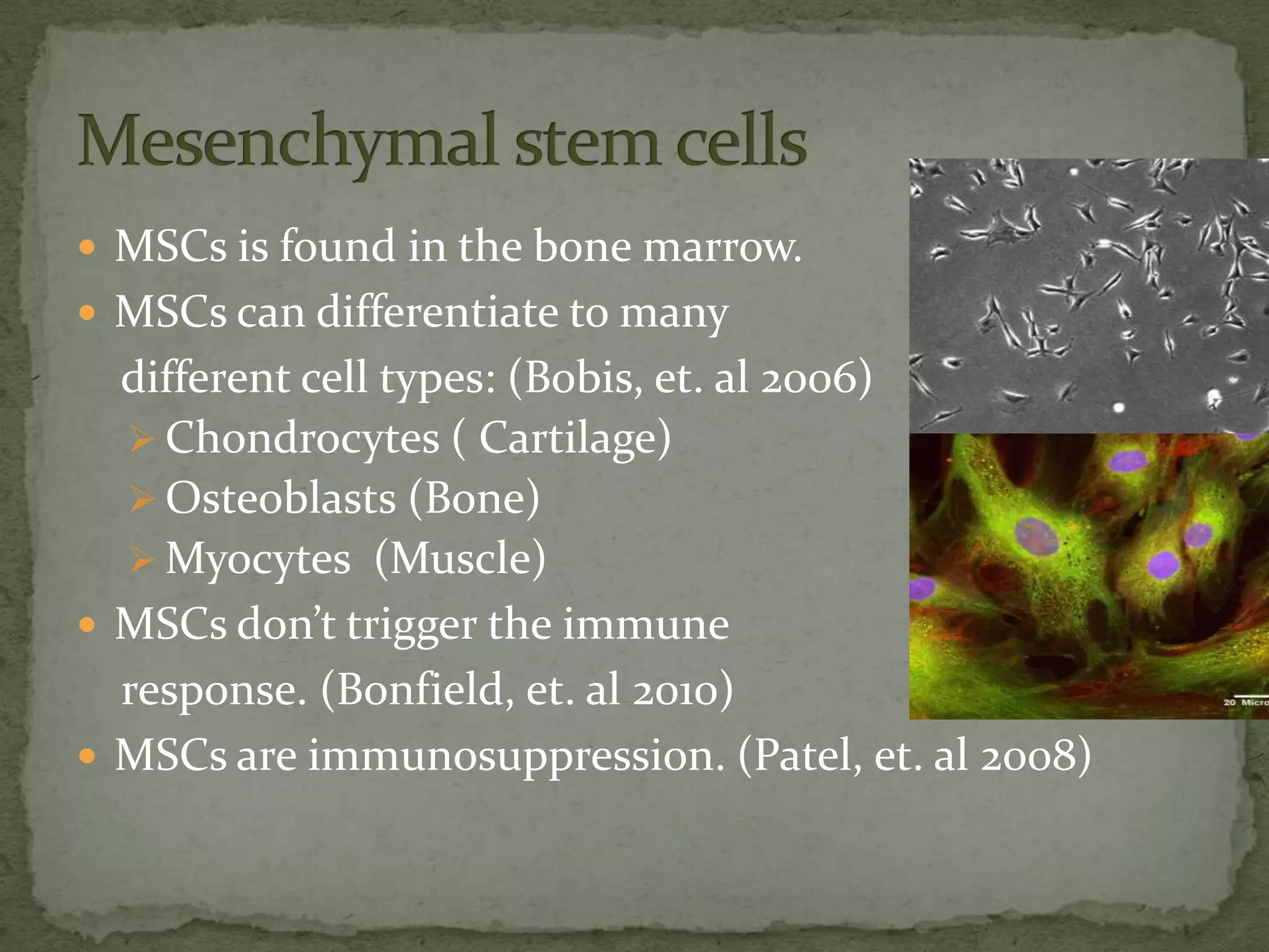  MSCs is found in the bone marrow.
 MSCs can differentiate to many
  different cell types: (Bobis, et. al 2006)
   Chondrocytes ( Cartilage)
   Osteoblasts (Bone)
   Myocytes (Muscle)
 MSCs don’t trigger the immune
  response. (Bonfield, et. al 2010)
 MSCs are immunosuppression. (Patel, et. al 2008)
 