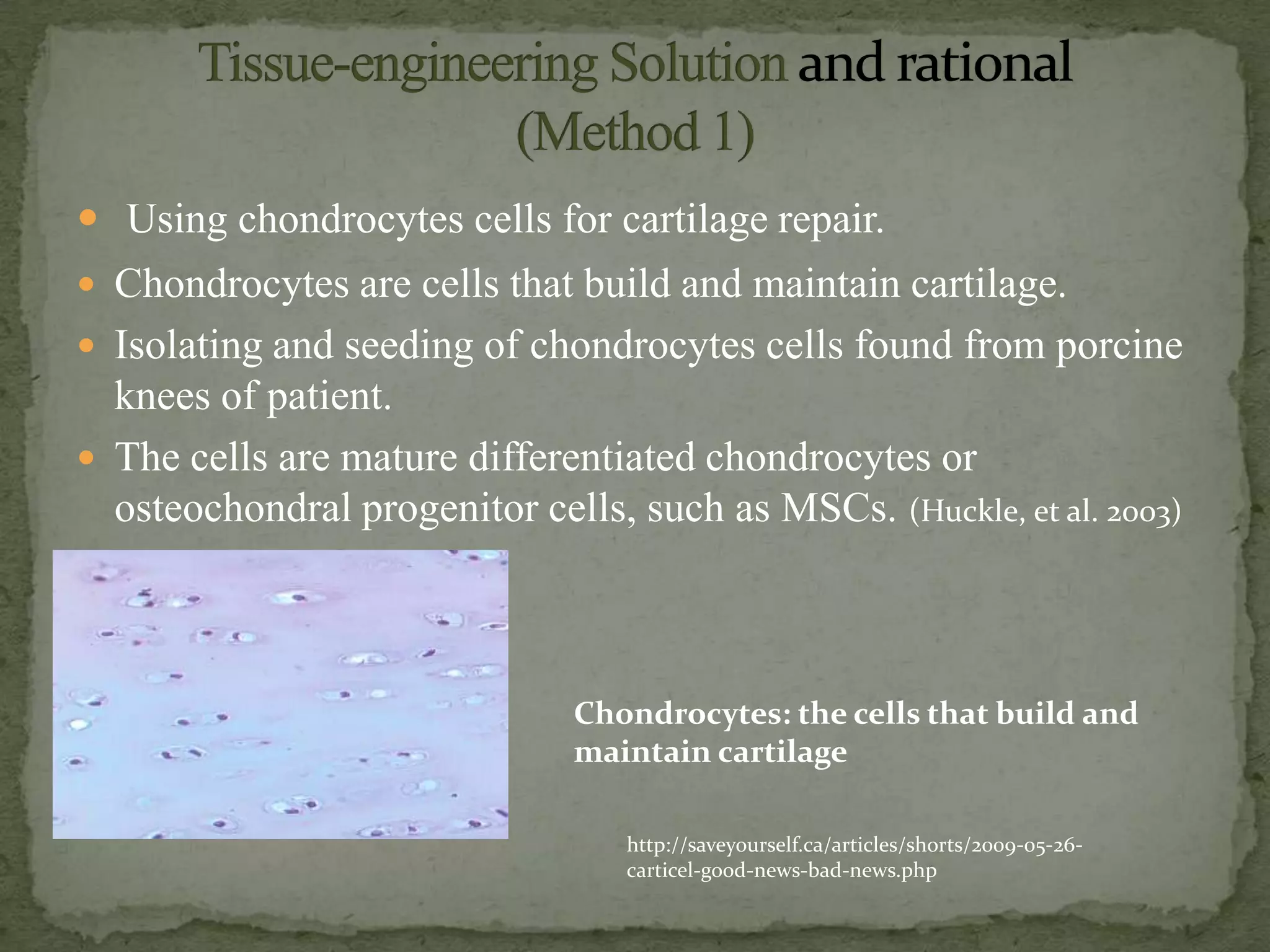  Using chondrocytes cells for cartilage repair.
 Chondrocytes are cells that build and maintain cartilage.
 Isolating and seeding of chondrocytes cells found from porcine
  knees of patient.
 The cells are mature differentiated chondrocytes or
  osteochondral progenitor cells, such as MSCs. (Huckle, et al. 2003)



                               Chondrocytes: the cells that build and
                               maintain cartilage

                                  http://saveyourself.ca/articles/shorts/2009-05-26-
                                  carticel-good-news-bad-news.php
 