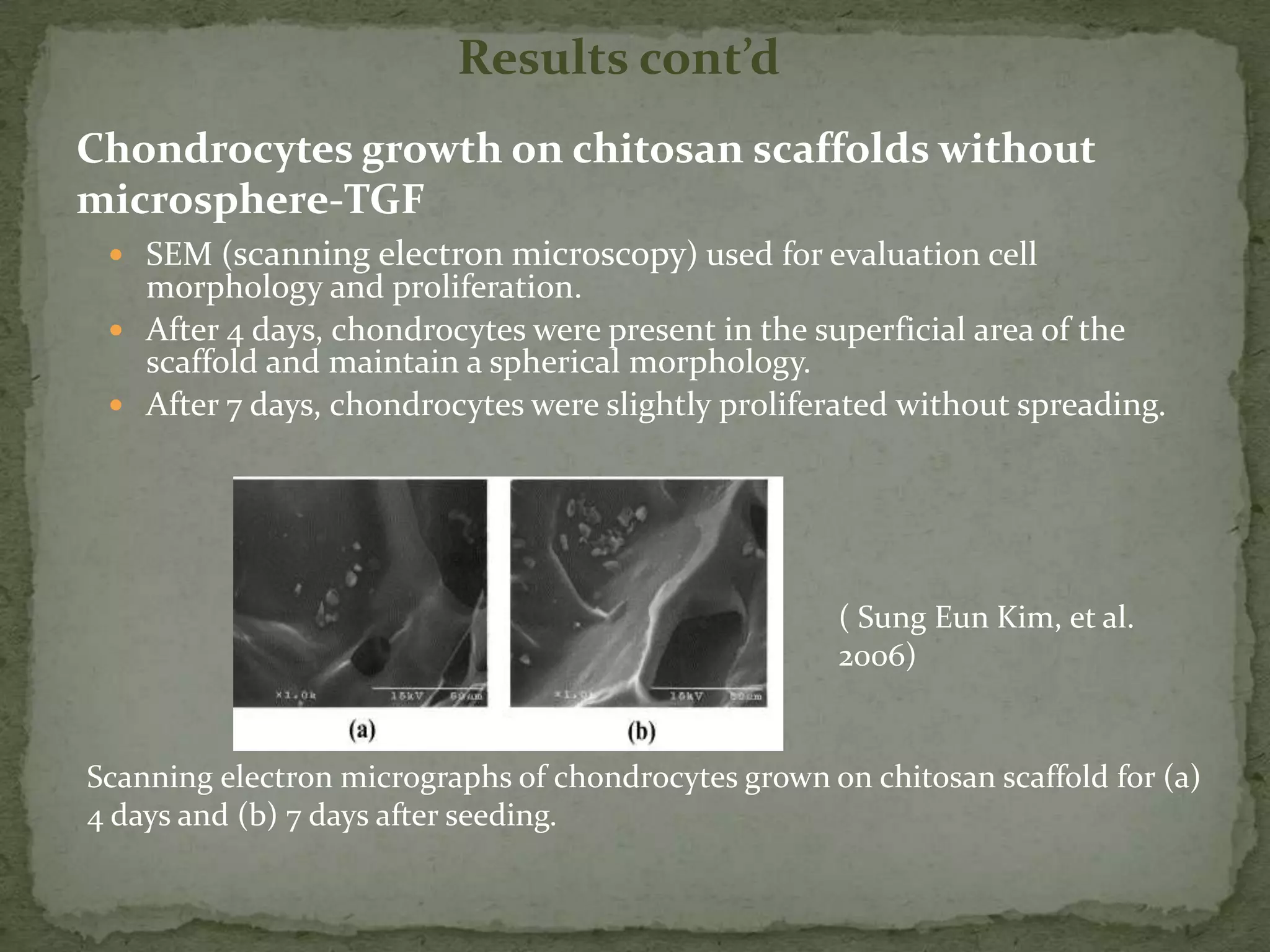 Results cont’d
Chondrocytes growth on chitosan scaffolds without
microsphere-TGF
  SEM (scanning electron microscopy) used for evaluation cell
   morphology and proliferation.
  After 4 days, chondrocytes were present in the superficial area of the
   scaffold and maintain a spherical morphology.
  After 7 days, chondrocytes were slightly proliferated without spreading.




                                                     ( Sung Eun Kim, et al.
                                                     2006)


Scanning electron micrographs of chondrocytes grown on chitosan scaffold for (a)
4 days and (b) 7 days after seeding.
 