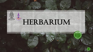 Herbarium
 
