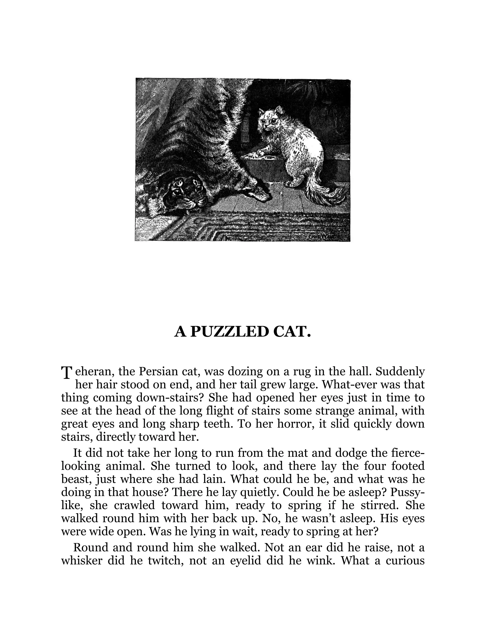 T
A PUZZLED CAT.
eheran, the Persian cat, was dozing on a rug in the hall. Suddenly
her hair stood on end, and her tail grew large. What-ever was that
thing coming down-stairs? She had opened her eyes just in time to
see at the head of the long flight of stairs some strange animal, with
great eyes and long sharp teeth. To her horror, it slid quickly down
stairs, directly toward her.
It did not take her long to run from the mat and dodge the fierce-
looking animal. She turned to look, and there lay the four footed
beast, just where she had lain. What could he be, and what was he
doing in that house? There he lay quietly. Could he be asleep? Pussy-
like, she crawled toward him, ready to spring if he stirred. She
walked round him with her back up. No, he wasn’t asleep. His eyes
were wide open. Was he lying in wait, ready to spring at her?
Round and round him she walked. Not an ear did he raise, not a
whisker did he twitch, not an eyelid did he wink. What a curious
 