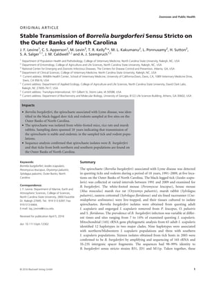 ORIGINAL ARTICLE
Stable Transmission of Borrelia burgdorferi Sensu Stricto on
the Outer Banks of North Carolina
J. F. Levine1
, C. S. Apperson2
, M. Levin3
, T. R. Kelly4,
*, M. L. Kakumanu2
, L. Ponnusamy2
, H. Sutton2
,
S. A. Salger1,†
, J. M. Caldwell1,‡
and A. J. Szempruch1,§
1
Department of Population Health and Pathobiology, College of Veterinary Medicine, North Carolina State University, Raleigh, NC, USA
2
Department of Entomology, College of Agriculture and Life Sciences, North Carolina State University, Raleigh, NC, USA
3
National Center for Emerging and Zoonotic Infectious Diseases, The Centers for Disease Control and Prevention, Atlanta, GA, USA
4
Department of Clinical Sciences, College of Veterinary Medicine, North Carolina State University, Raleigh, NC, USA
* Current address: Wildlife Health Center, School of Veterinary Medicine, University of California-Davis, Davis, CA, 1089 Veterinary Medicine Drive,
Davis, CA 95616, USA
†
Current address: Department of Applied Ecology, College of Agriculture and Life Sciences, North Carolina State University, David Clark Labs,
Raleigh, NC 27695-7617, USA
‡
Current address: TransAgra International, 101 Gilbert St, Storm Lake, IA 50588, USA
§
Current address: Department of Biochemistry and Molecular Biology, University of Georgia, B122 Life Sciences Building, Athens, GA 30602, USA
Impacts
• Borrelia burgdorferi, the spirochaete associated with Lyme disease, was iden-
tiﬁed in the black-legged deer tick and rodents sampled at ﬁve sites on the
Outer Banks of North Carolina.
• The spirochaete was isolated from white-footed mice, rice rats and marsh
rabbits. Sampling dates spanned 18 years indicating that transmission of
the spirochaete is stable and endemic in the sampled tick and rodent popu-
lations.
• Sequence analysis conﬁrmed that spirochaete isolates were B. burgdorferi
and that ticks from both northern and southern populations are found on
the Outer Banks of North Carolina.
Keywords:
Borrelia burgdorferi; Ixodes scapularis;
Peromyscus leucopus; Oryzomys palustris;
Sylvilagus palustris; Outer Banks; North
Carolina
Correspondence:
J. F. Levine. Department of Marine, Earth and
Atmospheric Sciences, College of Sciences,
North Carolina State University, 2800 Faucette
Dr. Raleigh 27695. Tel.: 919 513 6397; Fax:
919 513 6464;
E-mail: Jay_Levine@ncsu.edu
Received for publication April 5, 2016
doi: 10.1111/zph.12302
Summary
The spirochaete (Borrelia burgdorferi) associated with Lyme disease was detected
in questing ticks and rodents during a period of 18 years, 1991–2009, at ﬁve loca-
tions on the Outer Banks of North Carolina. The black-legged tick (Ixodes scapu-
laris) was collected at varied intervals between 1991 and 2009 and examined for
B. burgdorferi. The white-footed mouse (Peromyscus leucopus), house mouse
(Mus musculus) marsh rice rat (Oryzomys palustris), marsh rabbit (Sylvilagus
palustris), eastern cottontail (Sylvilagus ﬂoridanus) and six-lined racerunner (Cne-
midophorus sexlineatus) were live-trapped, and their tissues cultured to isolate
spirochaetes. Borrelia burgdorferi isolates were obtained from questing adult
I. scapularis and engorged I. scapularis removed from P. leucopus, O. palustris
and S. ﬂoridanus. The prevalence of B. burgdorferi infection was variable at differ-
ent times and sites ranging from 7 to 14% of examined questing I. scapularis.
Mitochondrial (16S) rRNA gene phylogenetic analysis from 65 adult I. scapularis
identiﬁed 12 haplotypes in two major clades. Nine haplotypes were associated
with northern/Midwestern I. scapularis populations and three with southern
I. scapularis populations. Sixteen isolates obtained from tick hosts in 2005 were
conﬁrmed to be B. burgdorferi by amplifying and sequencing of 16S rRNA and
5S-23S intergenic spacer fragments. The sequences had 98–99% identity to
B. burgdorferi sensu stricto strains B31, JD1 and M11p. Taken together, these
© 2016 Blackwell Verlag GmbH 1
Zoonoses and Public Health
 