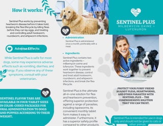 SENTINEL FLAVOR TABS ARE
AVAILABLE IN FOUR TABLET SIZES
IN COLOR-CODED PACKAGES FOR
ORAL ADMINISTRATION TO DOGS
AND PUPPIES ACCORDING TO THEIR
WEIGHT.
PROTECT YOUR FURRY FRIEND
AGAINST FLEAS, HEARTWORMS,
AND OTHER PARASITES WITH
SENTINEL PLUS – THE
COMPREHENSIVE SOLUTION
THAT YOU CAN TRUST.
SENTINEL PLUS
M I L B E M Y C I N O X I M E +
L U F E N U R O N
Sentinel Plus is intended for use in dogs
only and should not be given to cats or
other animals.
Our Services
Administration
Sentinel Plus is administered
once a month, preferably with a
meal.
ingredients
Sentinel Plus contains two
active ingredients –
milbemycin oxime and
lufenuron. These ingredients
work together to prevent
heartworm disease, control
and treat adult hookworm,
roundworm, and whipworm
infections, and break the flea
lifecycle.
Sentinel Plus is the ultimate
all-in-one solution for flea
and heartworm prevention,
offering superior protection
against a range of parasites,
including tapeworms. its
convenient monthly tablet
form makes it easy to
administer. Furthermore, it
has a superior safety profile
compared to other products
While Sentinel Plus is safe for most
dogs, some may experience adverse
effects such as vomiting, diarrhea, and
lethargy. If you observe any of these
symptoms, consult with your
veterinarian.
How it works:
Adverse Effects:
Sentinel Plus works by preventing
heartworm disease before it takes hold,
breaking the flea lifecycle by killing fleas
before they can lay eggs, and treating
and controlling adult hookworm,
roundworm, and whipworm infections.
 